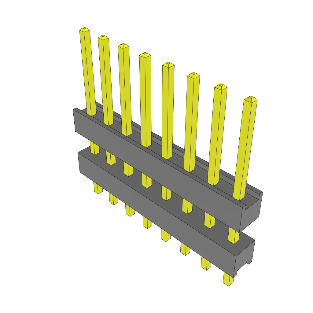 dw-08-09-f-s-300